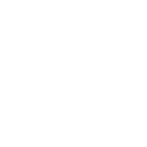 flying pig